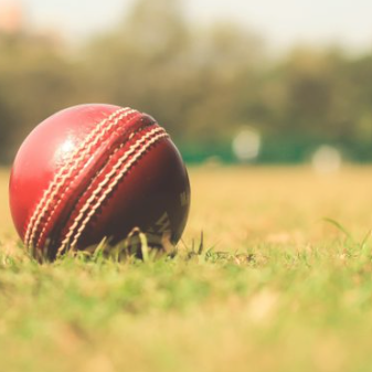 Cricket Season is here!